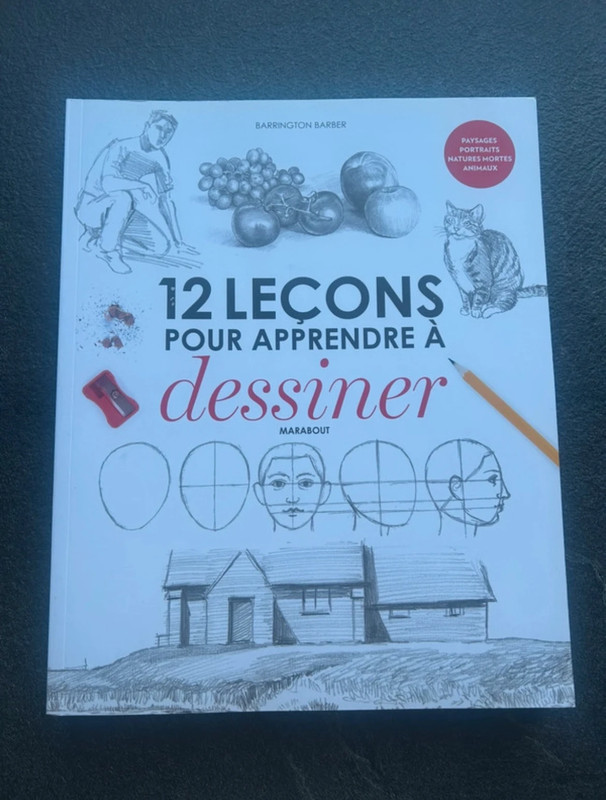 12 Leçons pour apprendre à dessiner