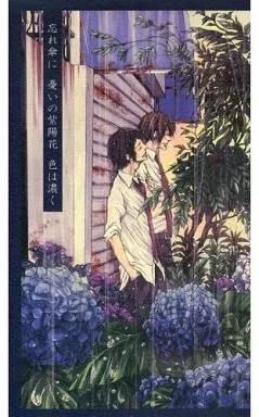 Ombrello General Doujinshi Ortensia dei Dimenticati Femmina BL 24P Usato [Età 13+]