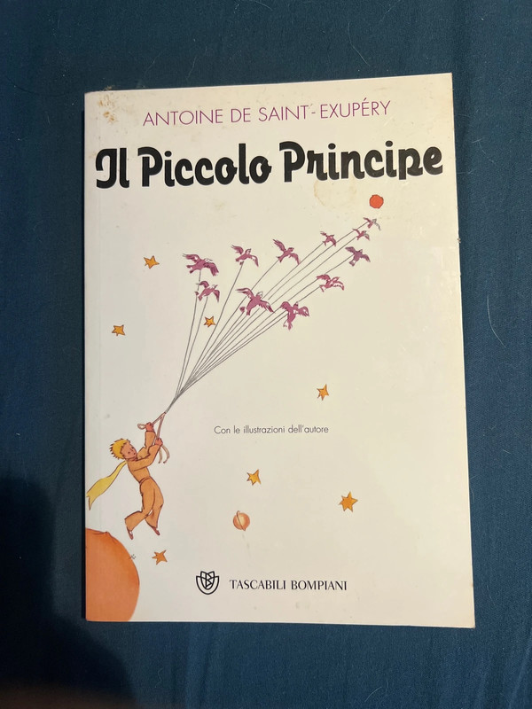 Il piccolo principe