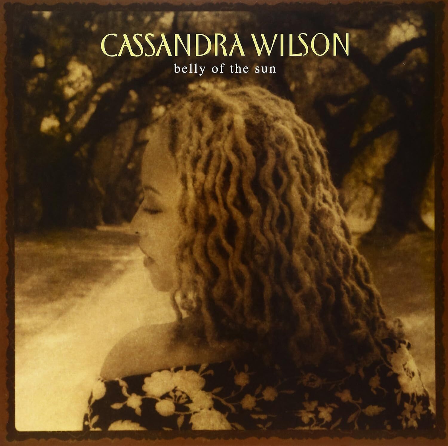 Cassandra Wilson Belly of the Sun (Vinyl LP) 12" Album