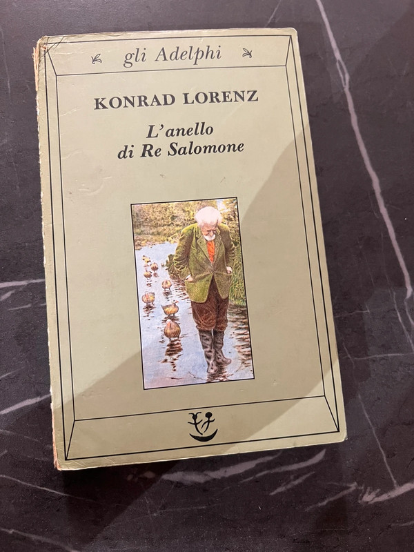 l’anello di re Salomone
