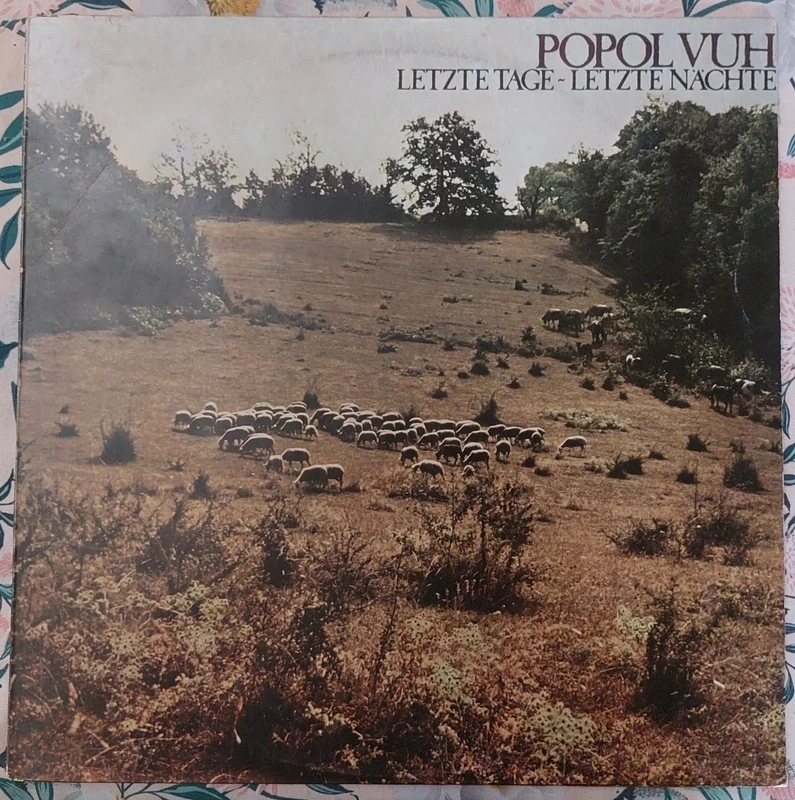 Lp Popol Vuh Letzte Tage-Letzte Nachte Made Italy 1°Stampa (Vinyl NM)