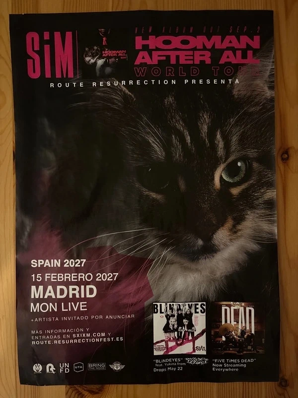 Poster SiM Silence iz Mine Hooman After All