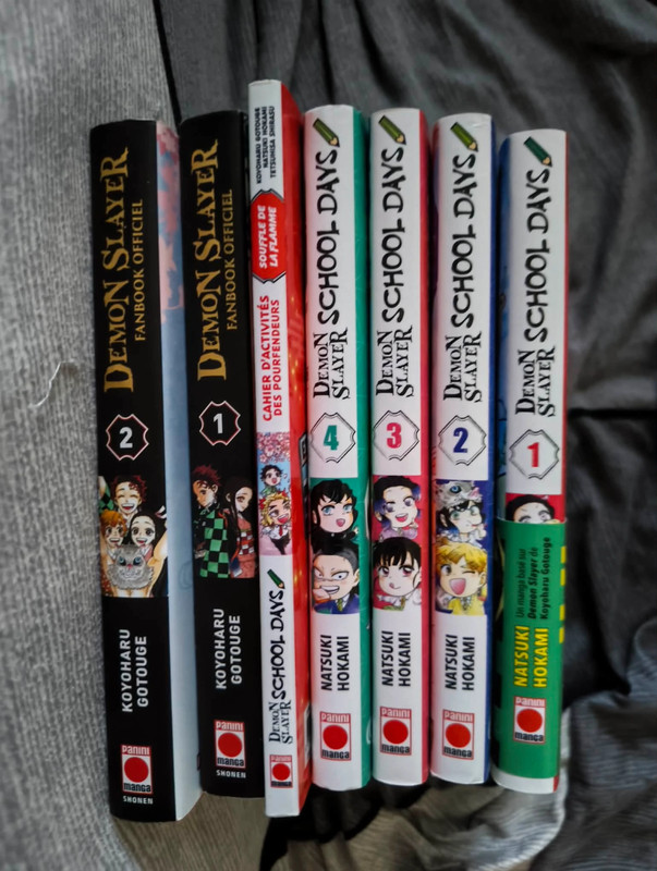 Demon slayer intégral + fanbook + School day + cahier d'activité (30 livres en tout)