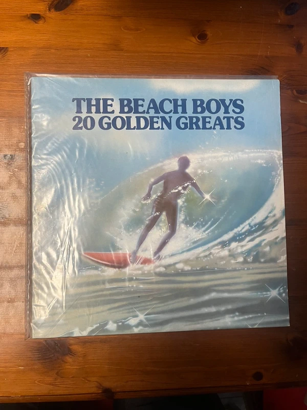 The beach boys