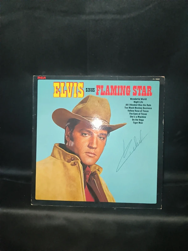 Elvis Presley lot vinyle