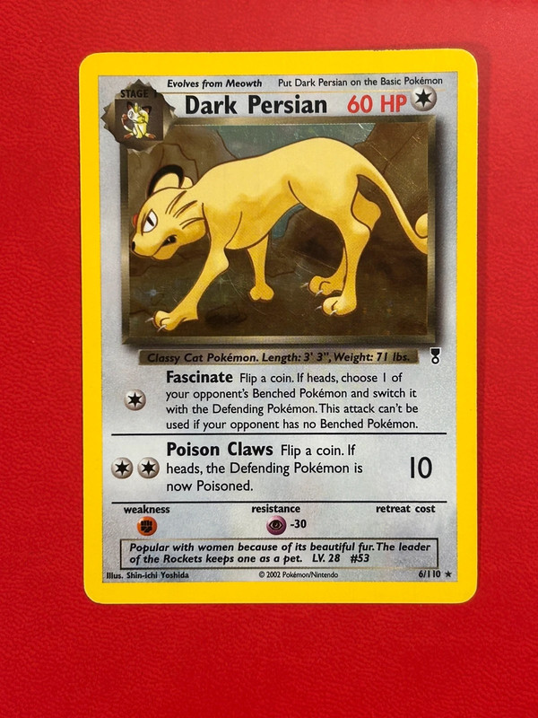 Dark Persian