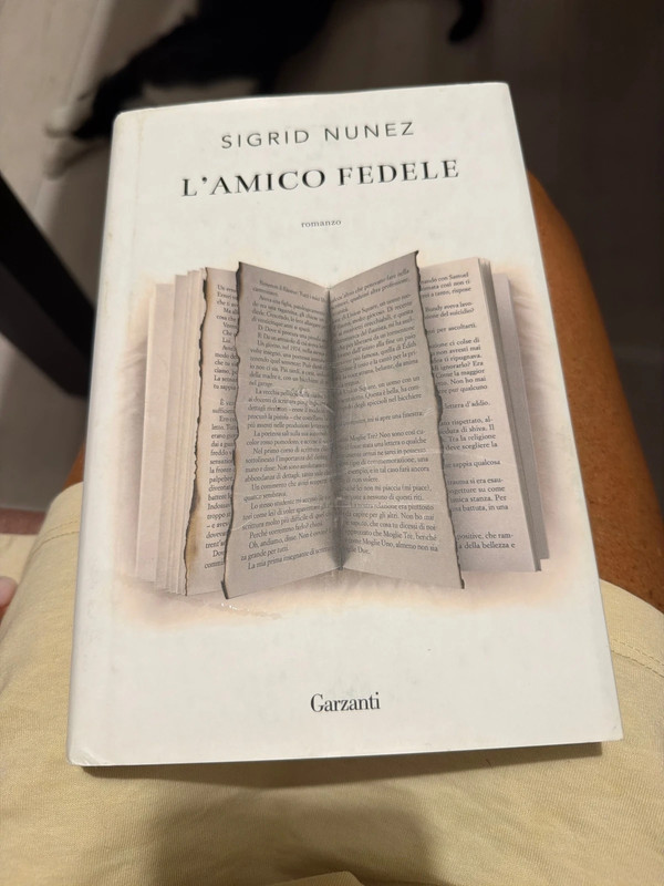 Romanzo