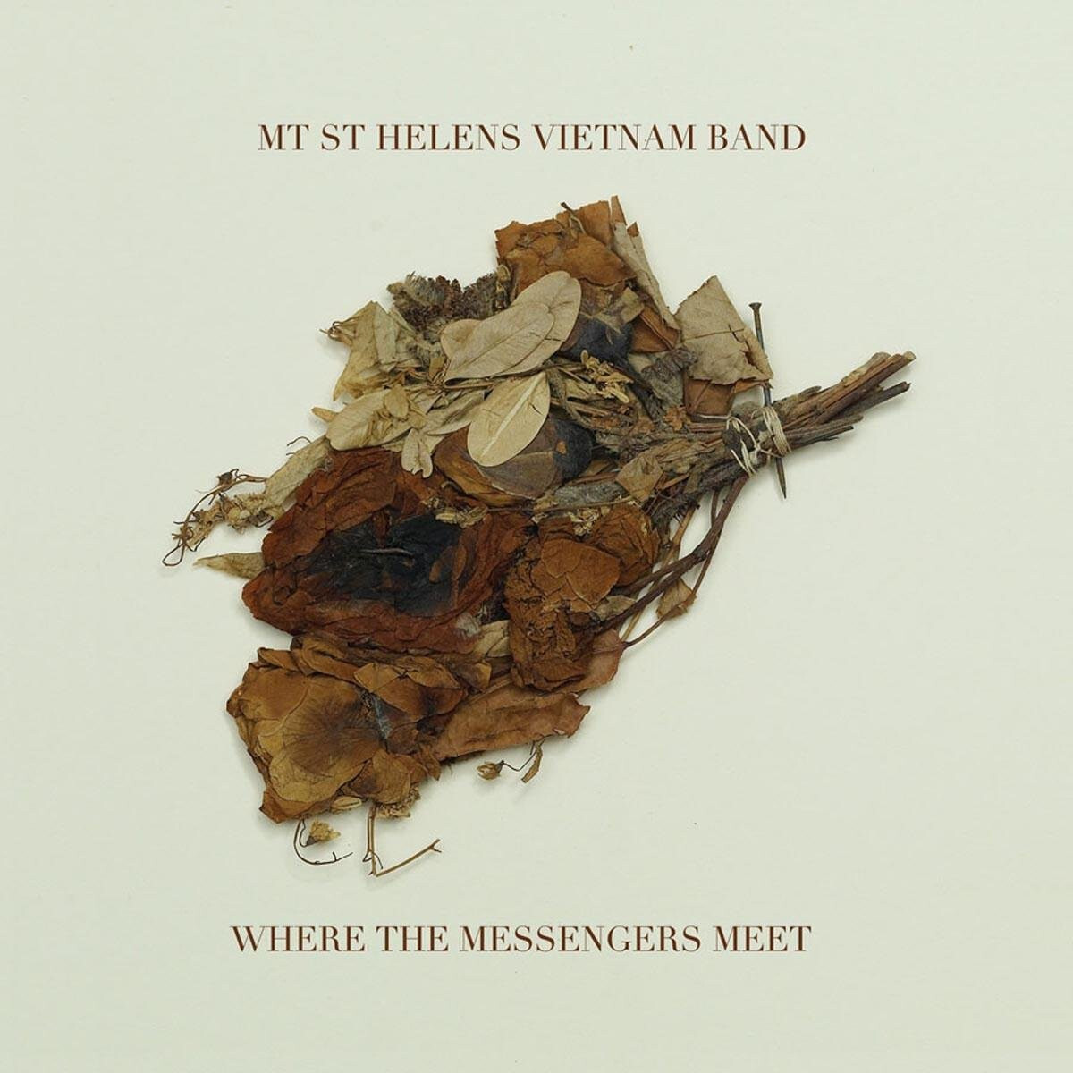 MT ST HELENS VIETNAM BAND = Where The Messengers Meet = LP ALBUM = INDIE ROCK