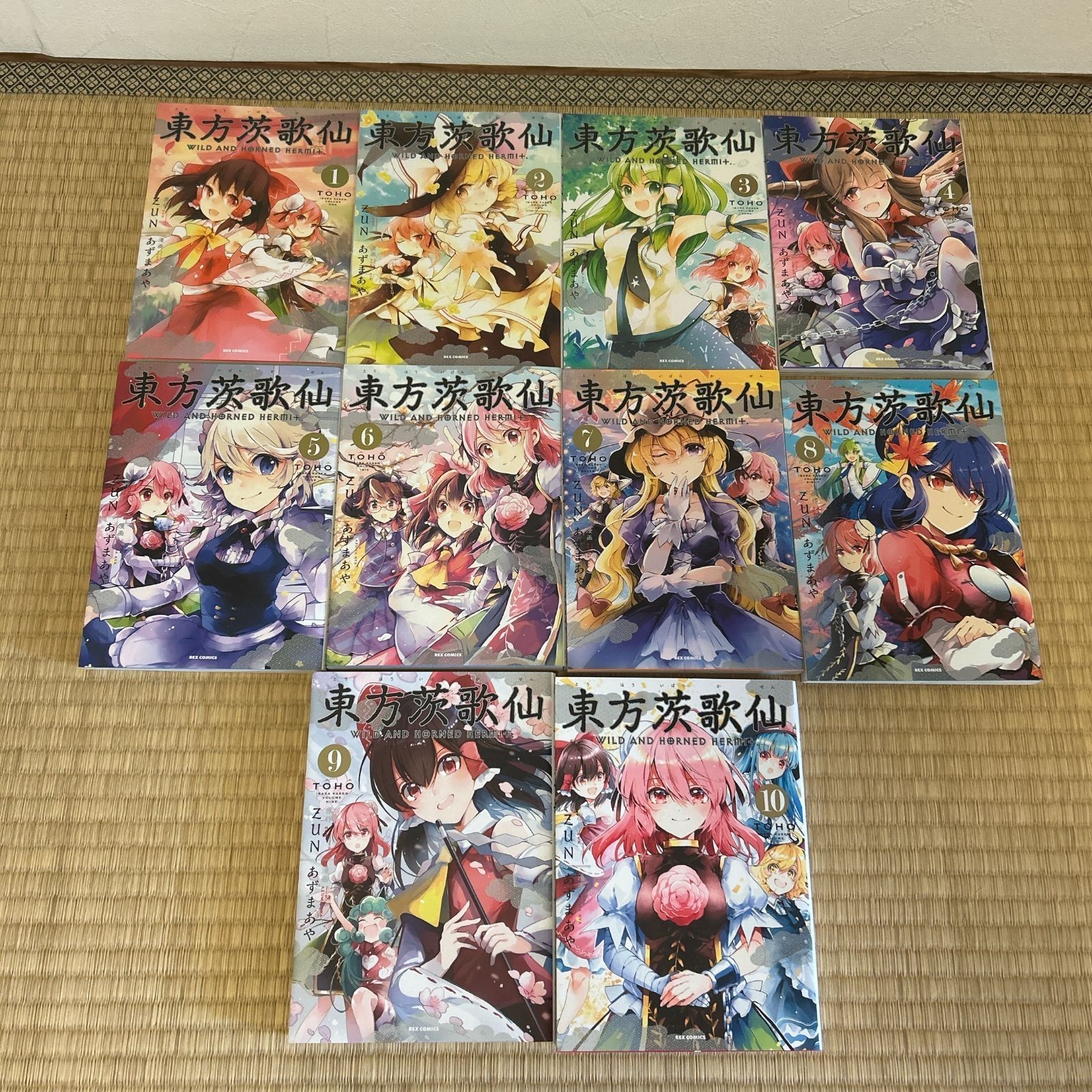 Touhou Project HERMIT SELVAGGIO E CORNA vol.1-10 set fumetti giapponese ver usato