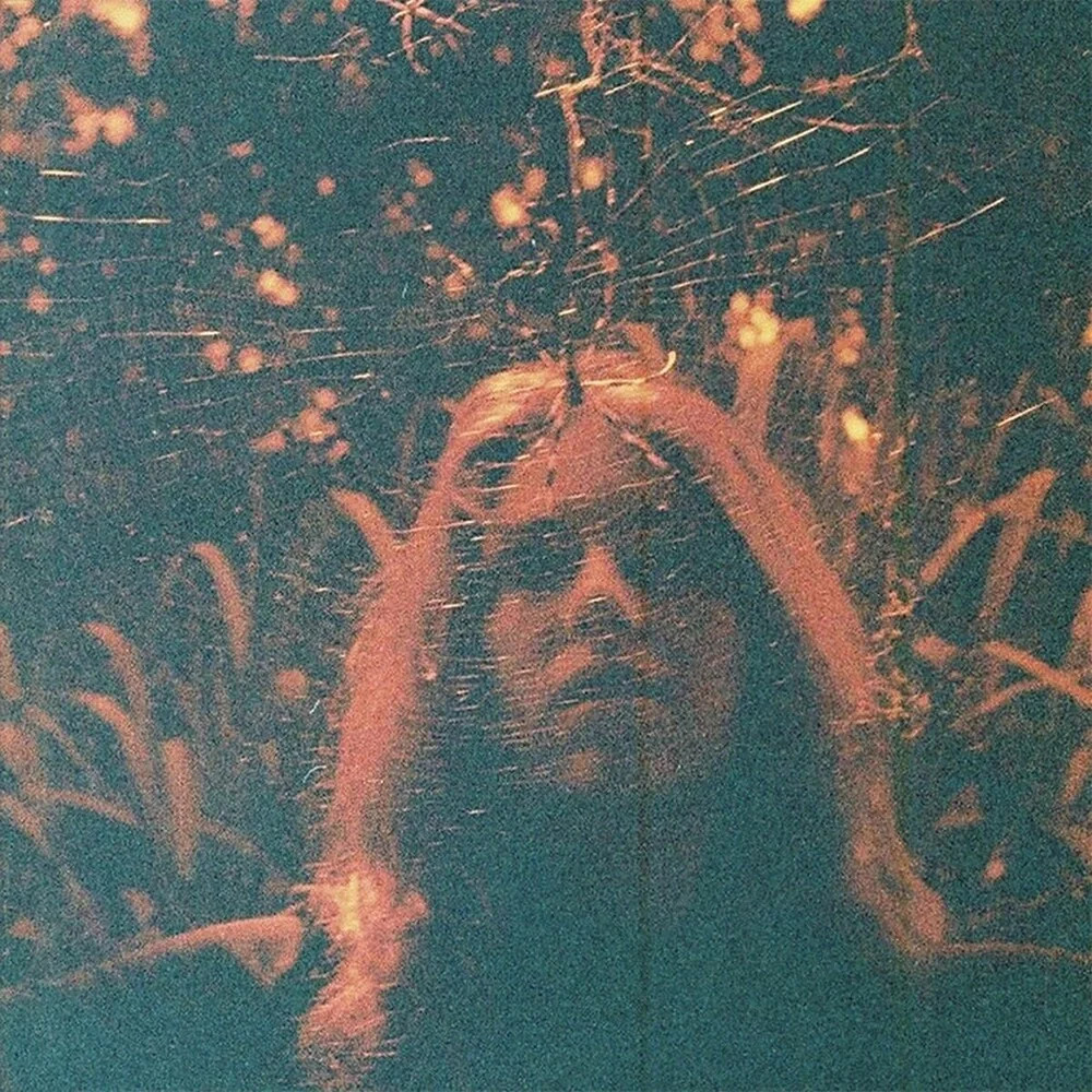 Turnover - Peripheral Vision [Colored Vinyl] [Clear Vinyl] (Org) (Can) Vinyl