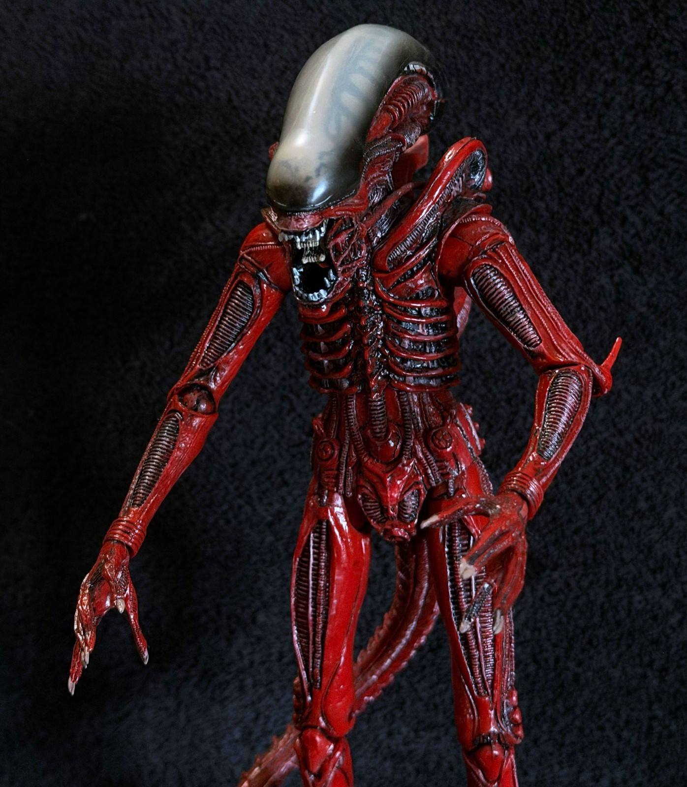 XENOMORFO ROSSO BIG CHAP • GENOCIDIO ALIENO NECA