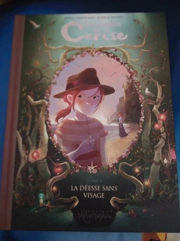 Livre (les carnets de cerise  tome 4)