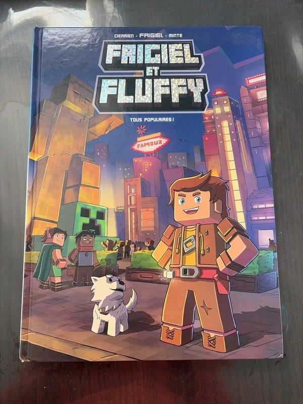 Livre minecraft