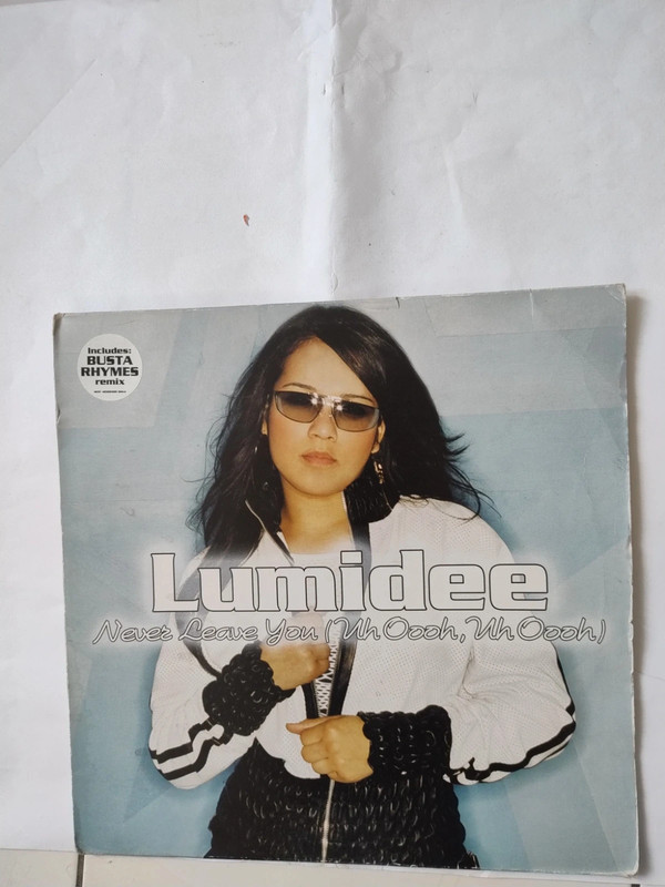 Single de la chanteuse Lumidee Never Leave You