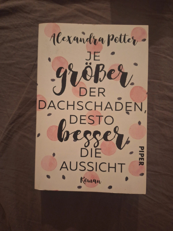 Je größer der Dachschaden, desto besser die Aussicht