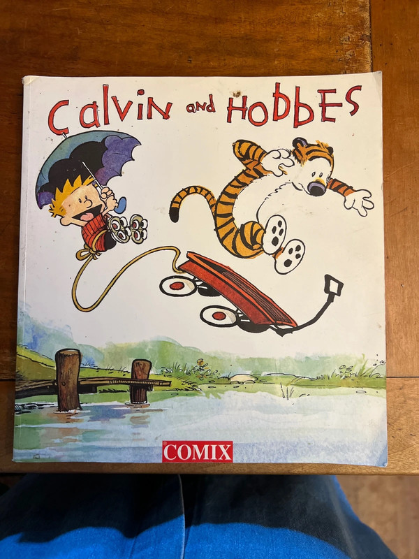 Calvin and Hobbes