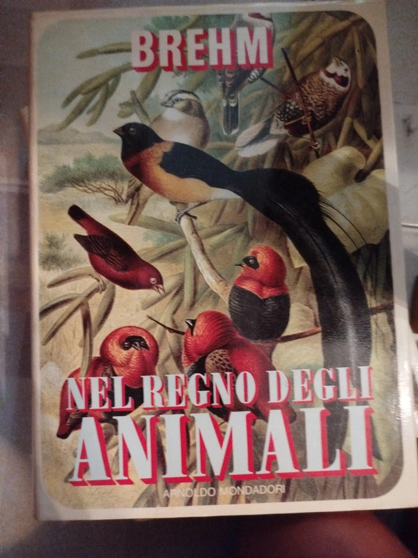 2 nel regno degli animali brehm