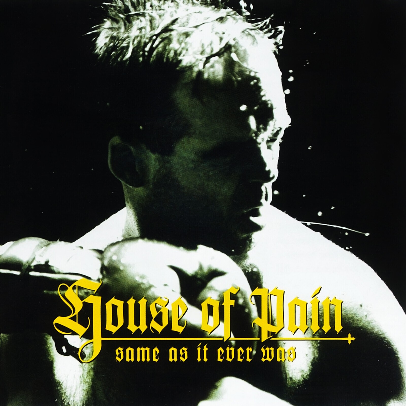 House of Pain Same As It Ever Was (Vinyl LP)