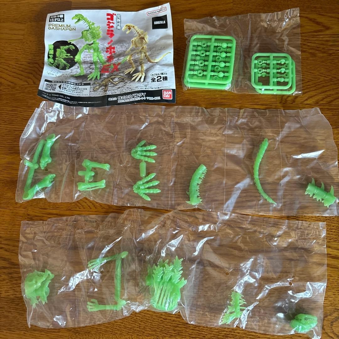 Godzilla Bone EX 13a