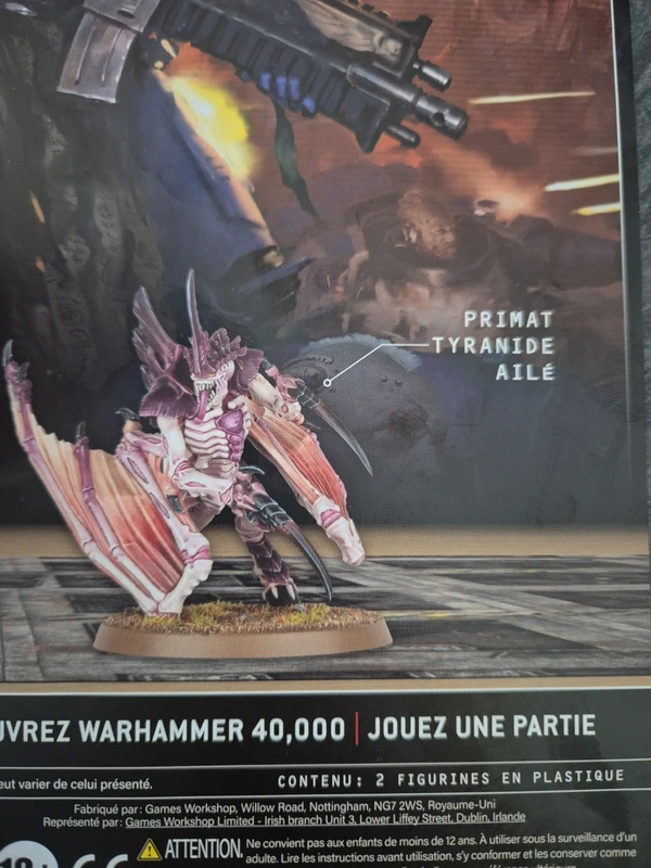 Primat tyranide ailé