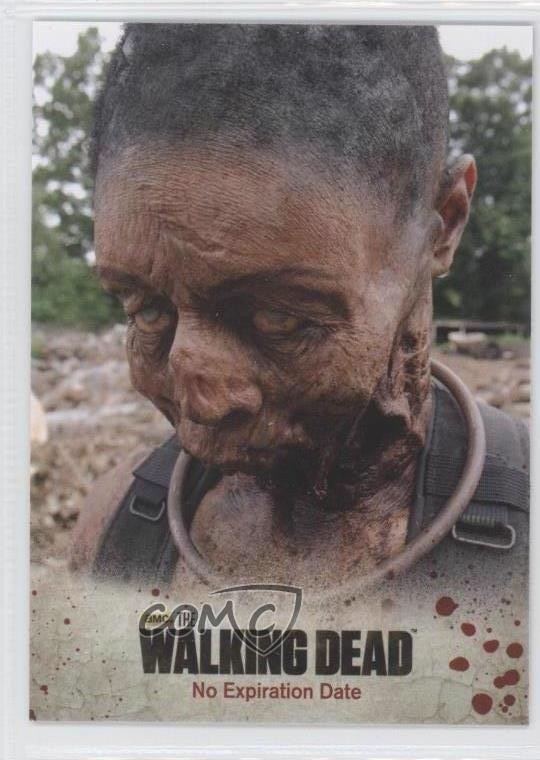 2014 The Walking Dead Stagione 3 Parte 2 Michonne Senza Data di Scadenza #4 02v3