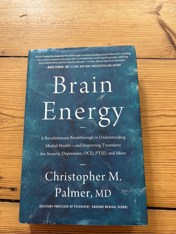 Brain energy by Christopher m Palmer MD