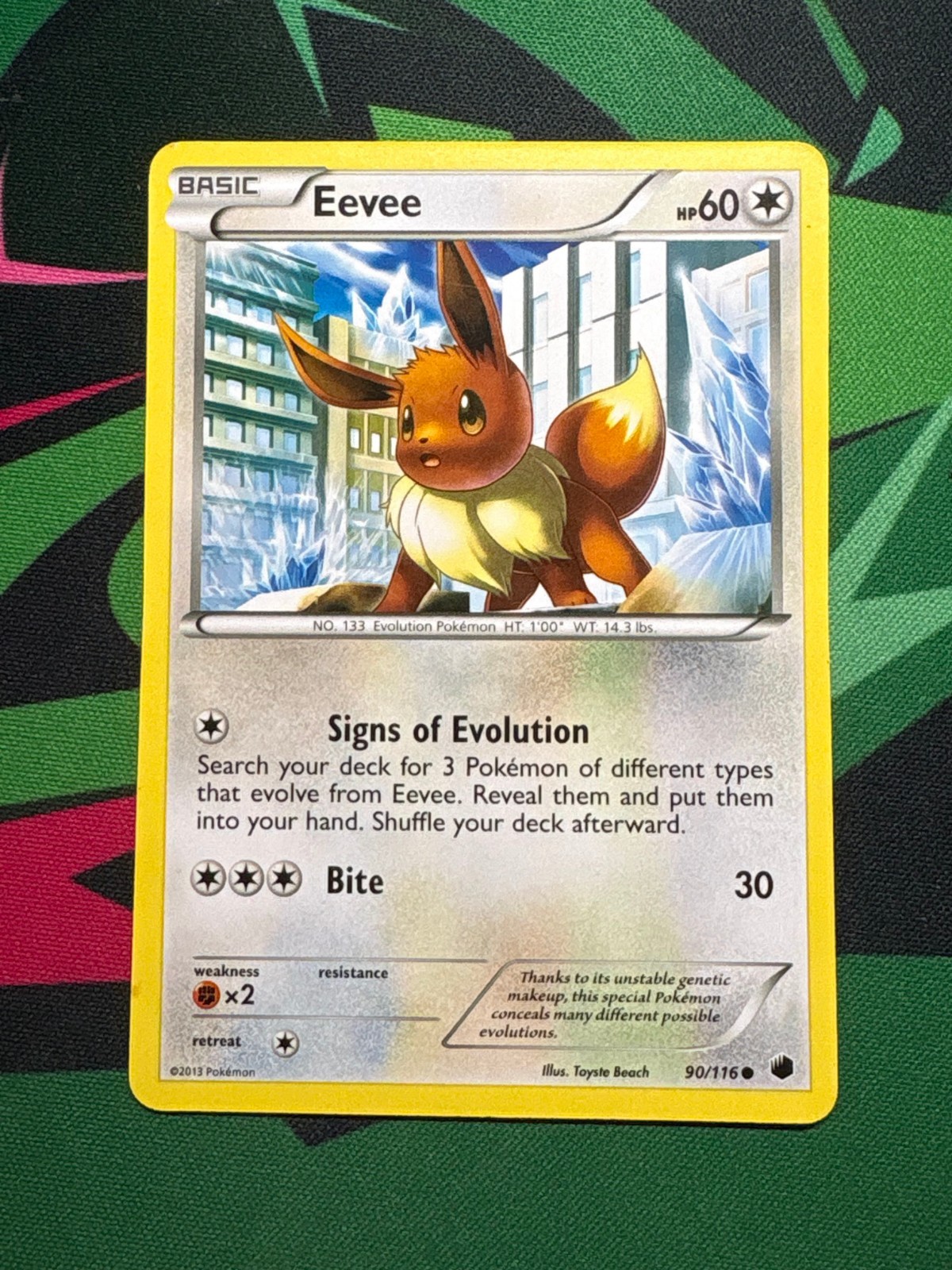 Eevee 90/116 Plasma Freeze 2013 Non-Holo NM Pokemon Card