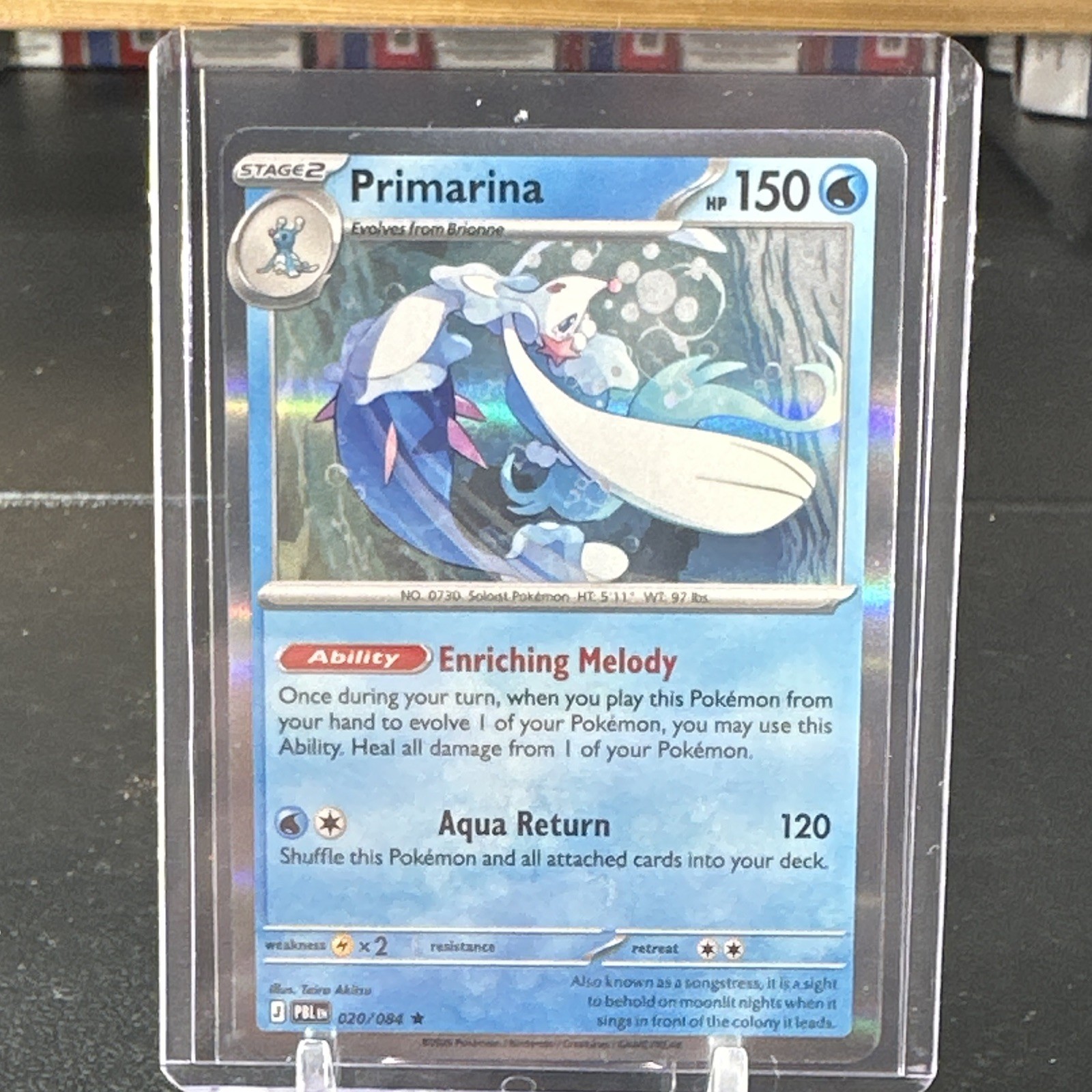 2026 Pokémon Primarina 020/084 Fase 2 Holo 1°