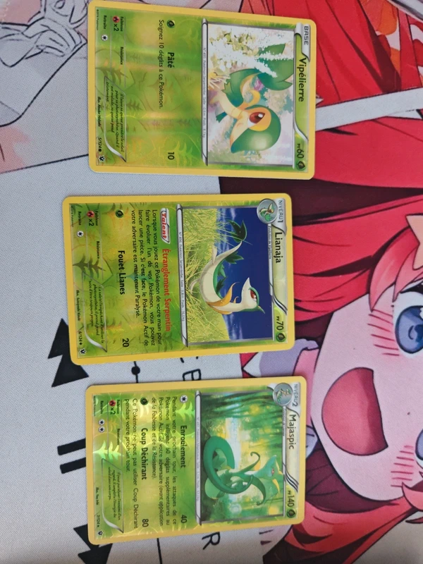 Lot de cartes reverses