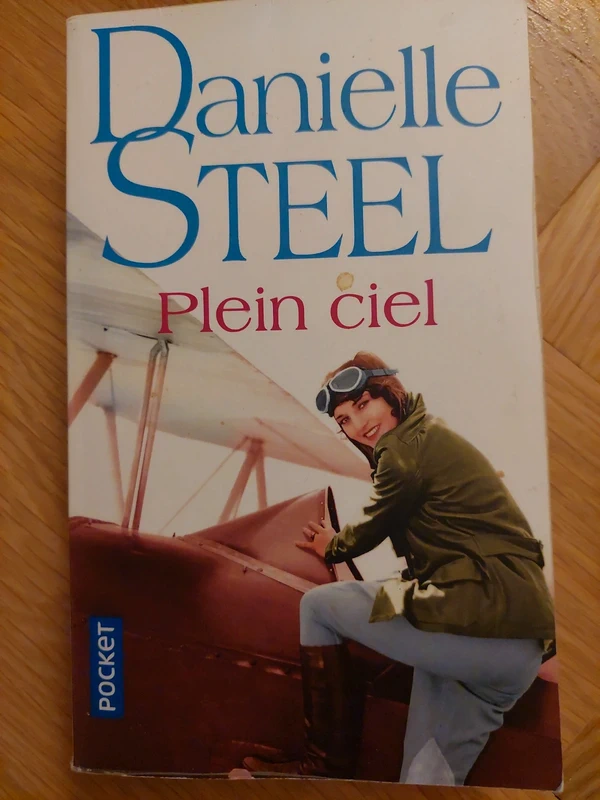 Plein ciel - Danielle Steel