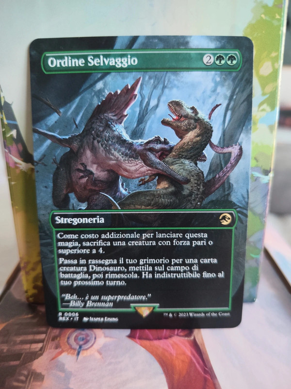 Ordine Selvaggio / Savage Order borderless mtg near mint