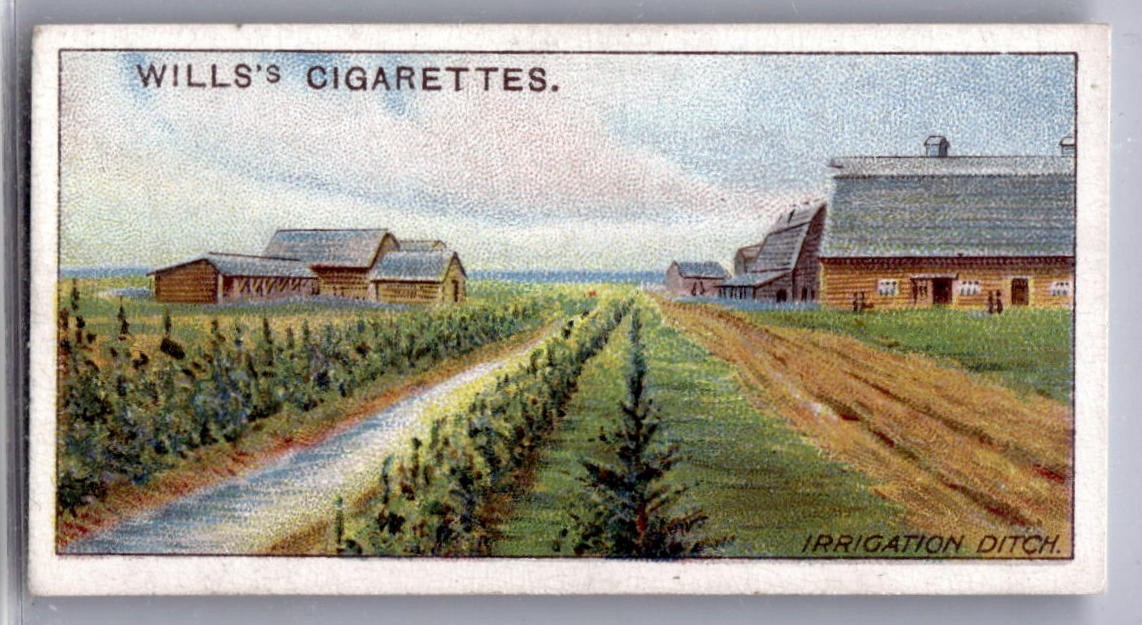 Carta tabacco 1914 Wills's Overseas Dominions (Canada) #23 fosso irrigazione