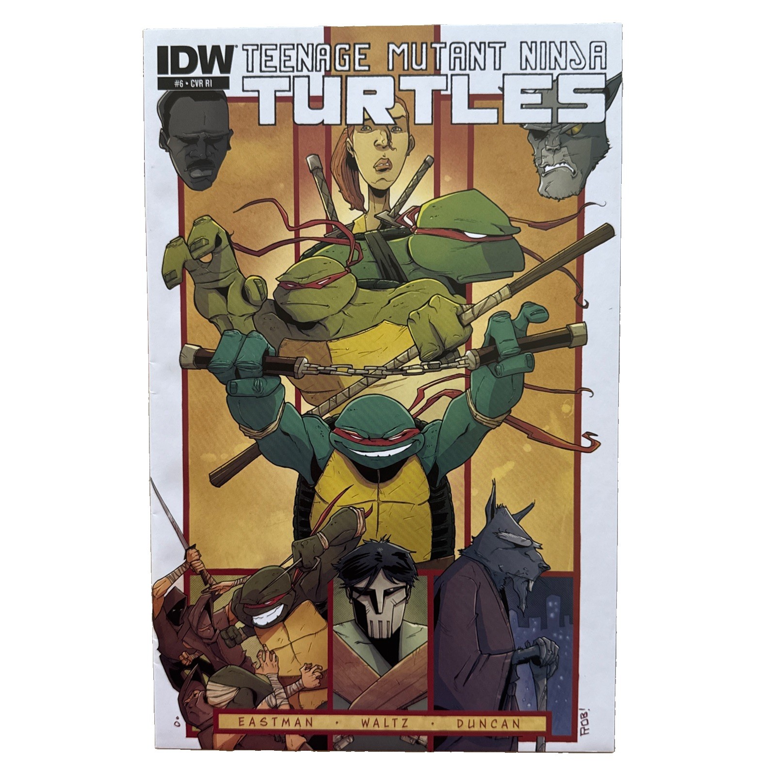 Teenage Mutant Ninja Turtles #6 Rob Guillory 1:10 variante IDW Comics 2012 CVR RI