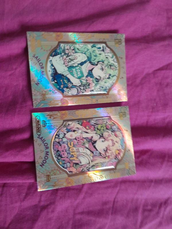 2 cartes sailor moon