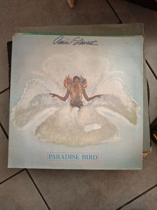 Disque vinyle paradise bird