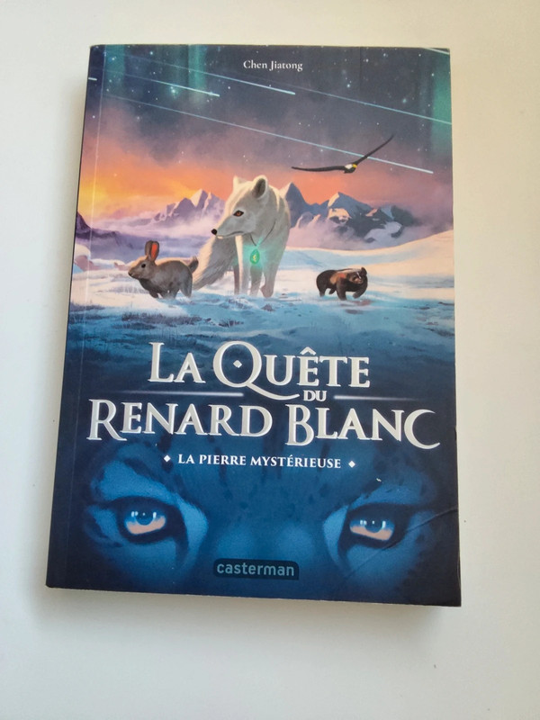La quête du renard blanc, la pierre mystérieuse