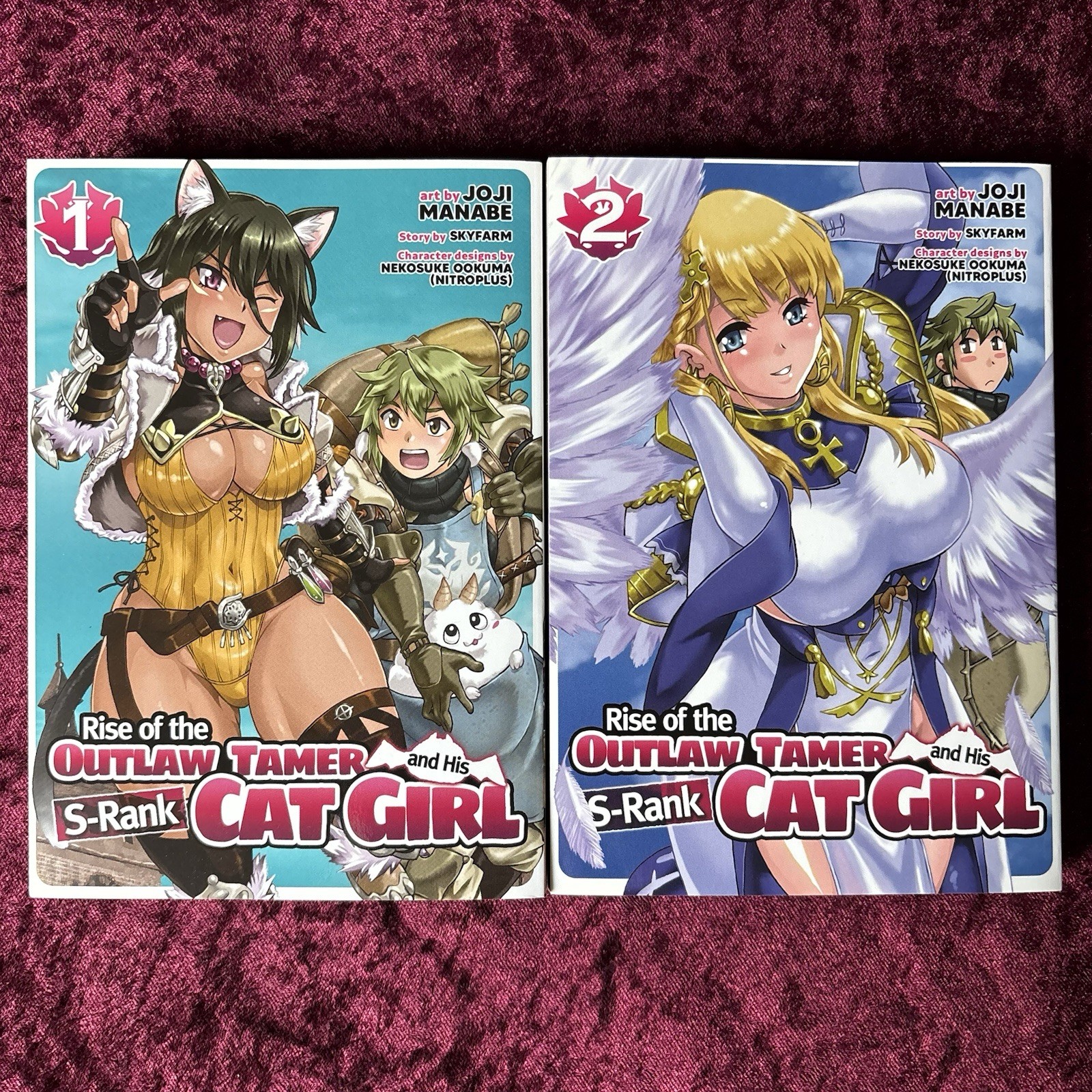 Rise of the Outlaw Domer and His S-Rank Cat Girl manga volumi 1-2