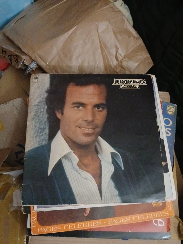 Julio Iglesias Aimer la vie 33T