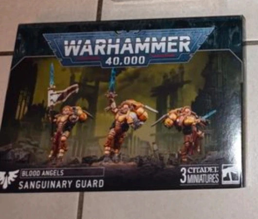 Warhammer BA Garde Sanguinienne 5