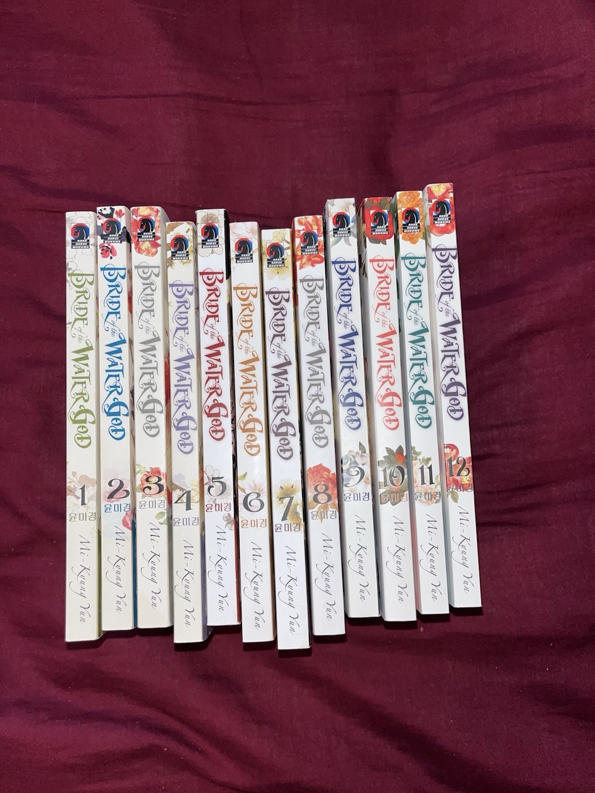 Dio Sposa dell'Acqua Vols. Set Manhwa Inglese 1-12 | Manga Dark Horse Fuori Produzione