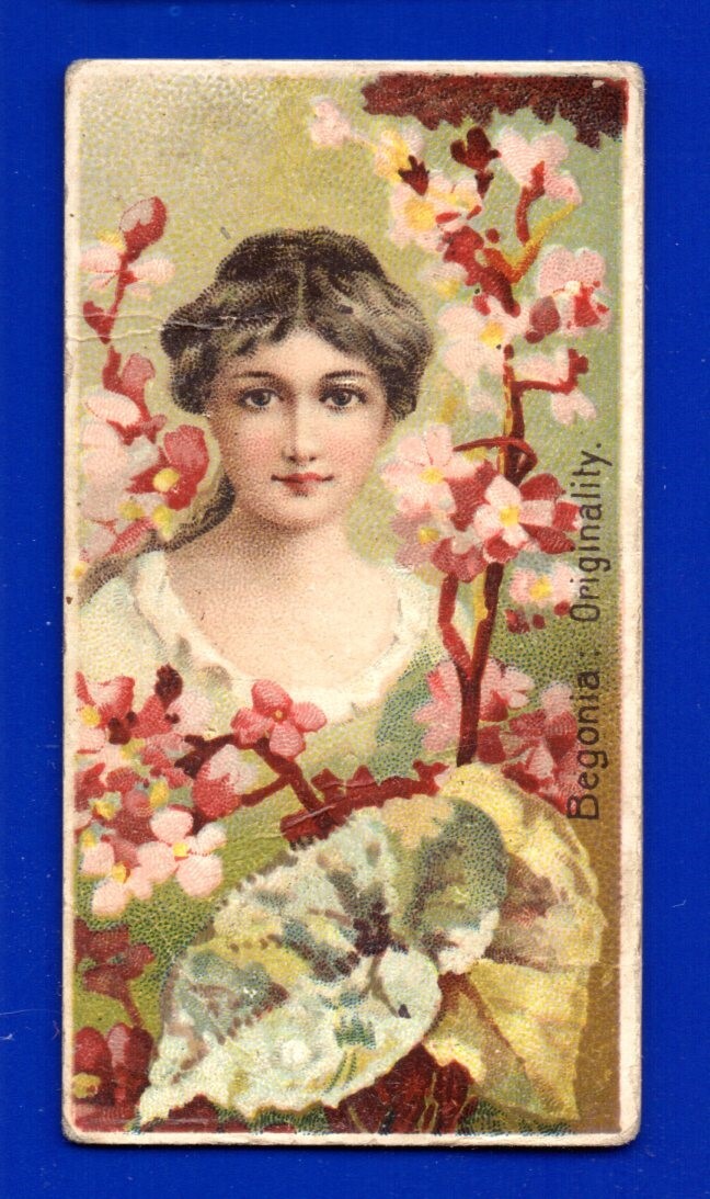ORIGINALITÀ BEGONIA 1892 DUKE & SONS & CO. N75 BELLEZZE FLOREALI MOLTO buone