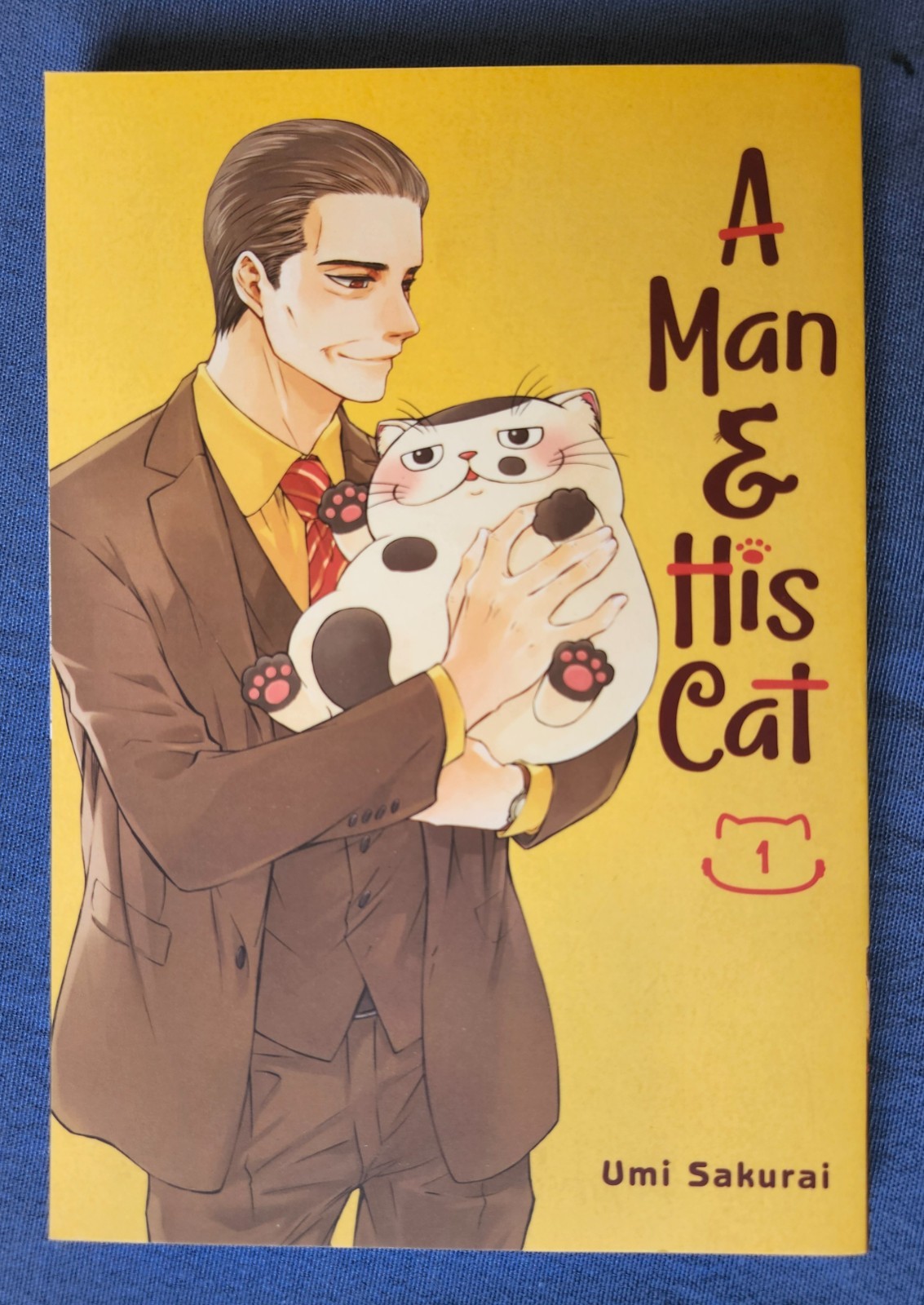 un uomo e il suo gatto manga vol 1