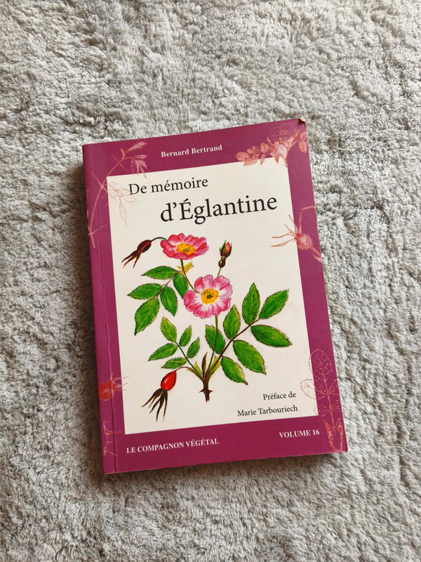 De mémoire d'Églantine - Bernard Bertrand - Très bon état