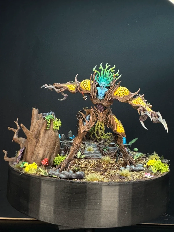 Drycha hammadreth