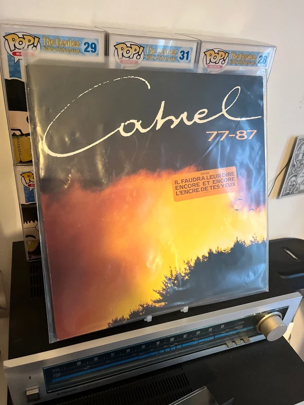 Vinyle 33T Francis Cabrel