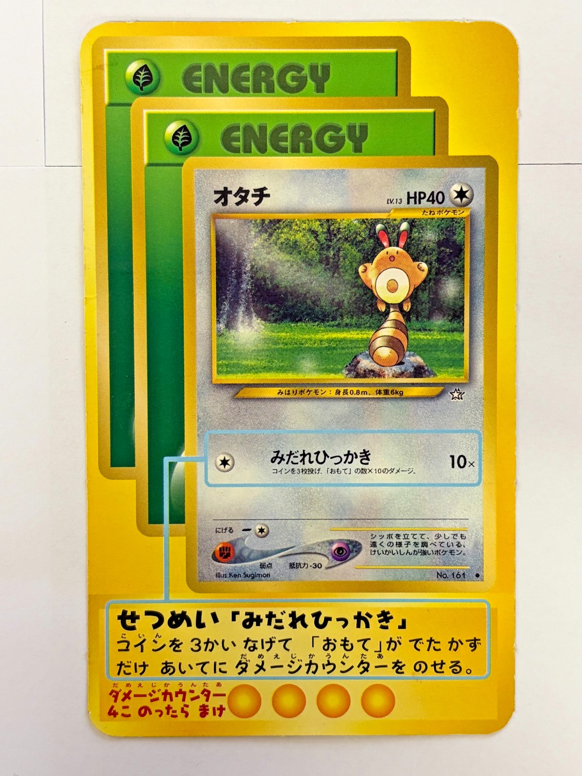 Pokemon TCG Sentret Tryout Teach Set Japanese Vintage Rare Jumbo Oversize Card