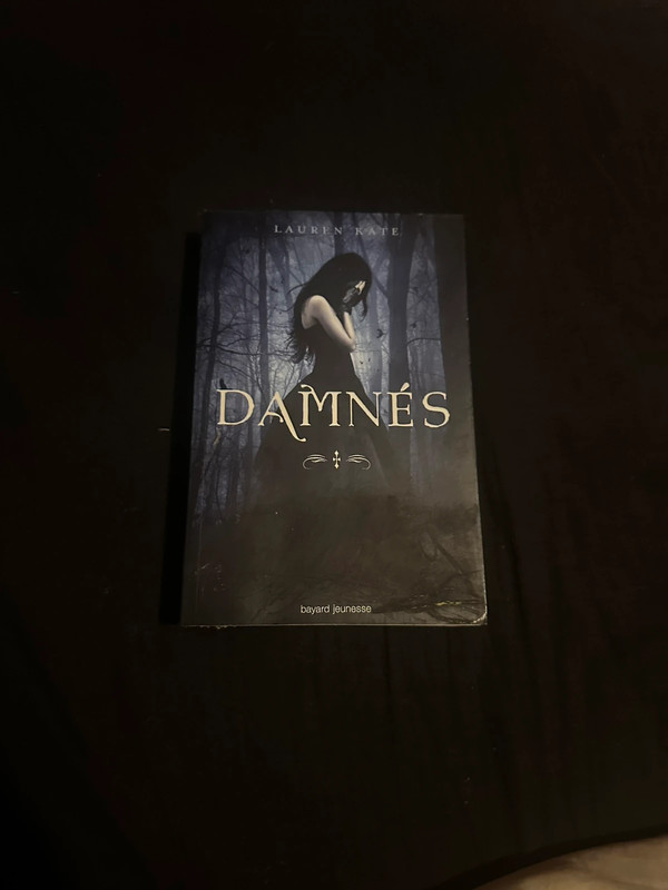 Damnés Lauren Kate Tome 1 Fantasy Romance Anges Déchus Young Adult Bestseller