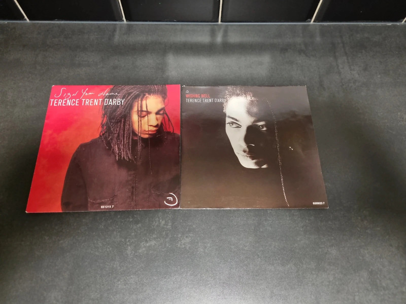 2 disques vinyles 45T Terence Trent D'Arby