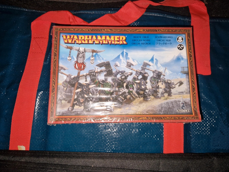 Warhammer: Black Orcs